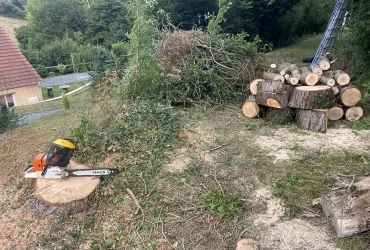 abattage thuya boussey 27750 2