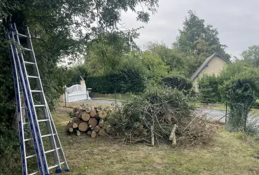 abattage thuya boussey 27750 3