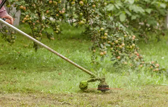 debroussaillage eure et loir