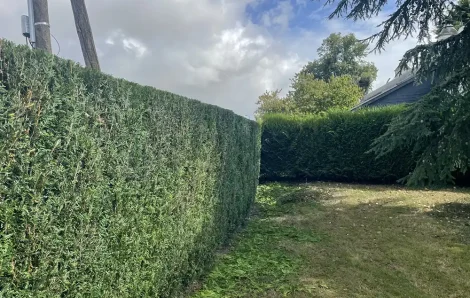 Taille de haie & abattage d’arbre Beaumont-le-Roger 27170