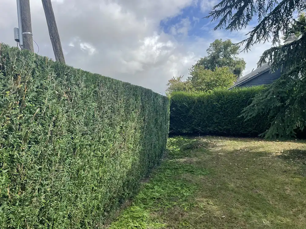 Taille de haie & abattage d’arbre Beaumont-le-Roger 27170