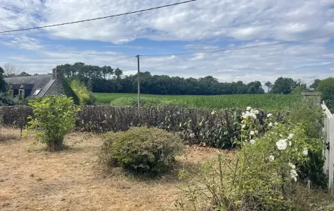 Taille de haie Houdan 78550