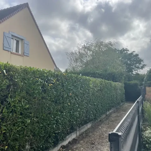 taille haie pacy sur eure 27120 2