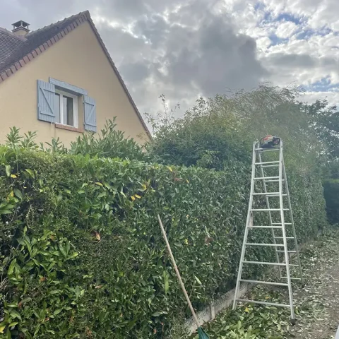 taille haie pacy sur eure 27120 4