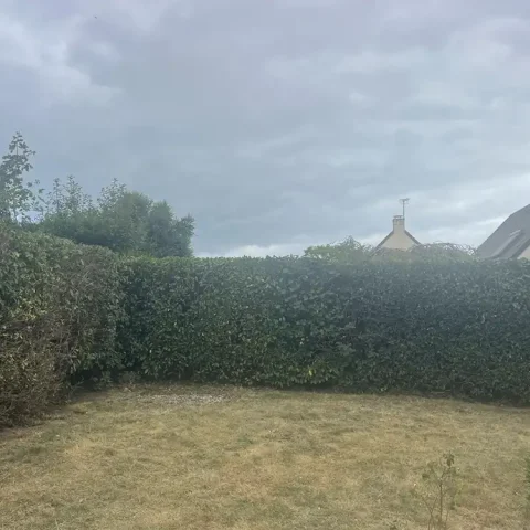 taille haie pacy sur eure 27120