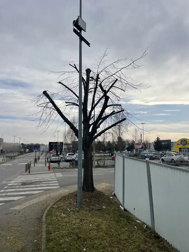 Elagage peuplier Évreux 27000