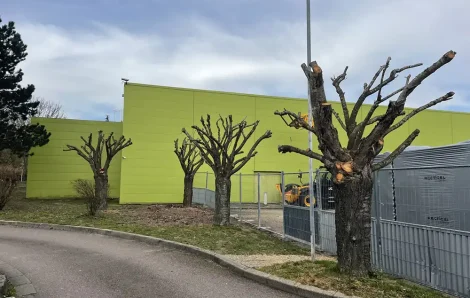 Elagage Évreux 27000