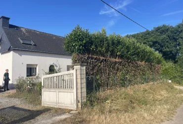 Taille d'une haie de laurier Houdan a Houdan 78550 - en cours