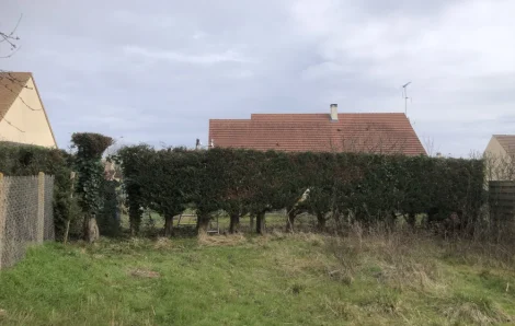Taille cyprès Saint-Martin-de-Nigelles 28130